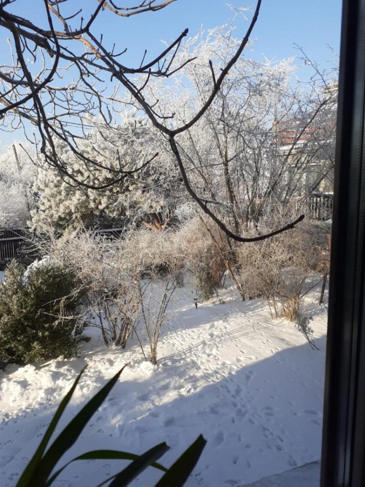 Dom W Junoszynie Villa Junoszyno Bagian luar foto
